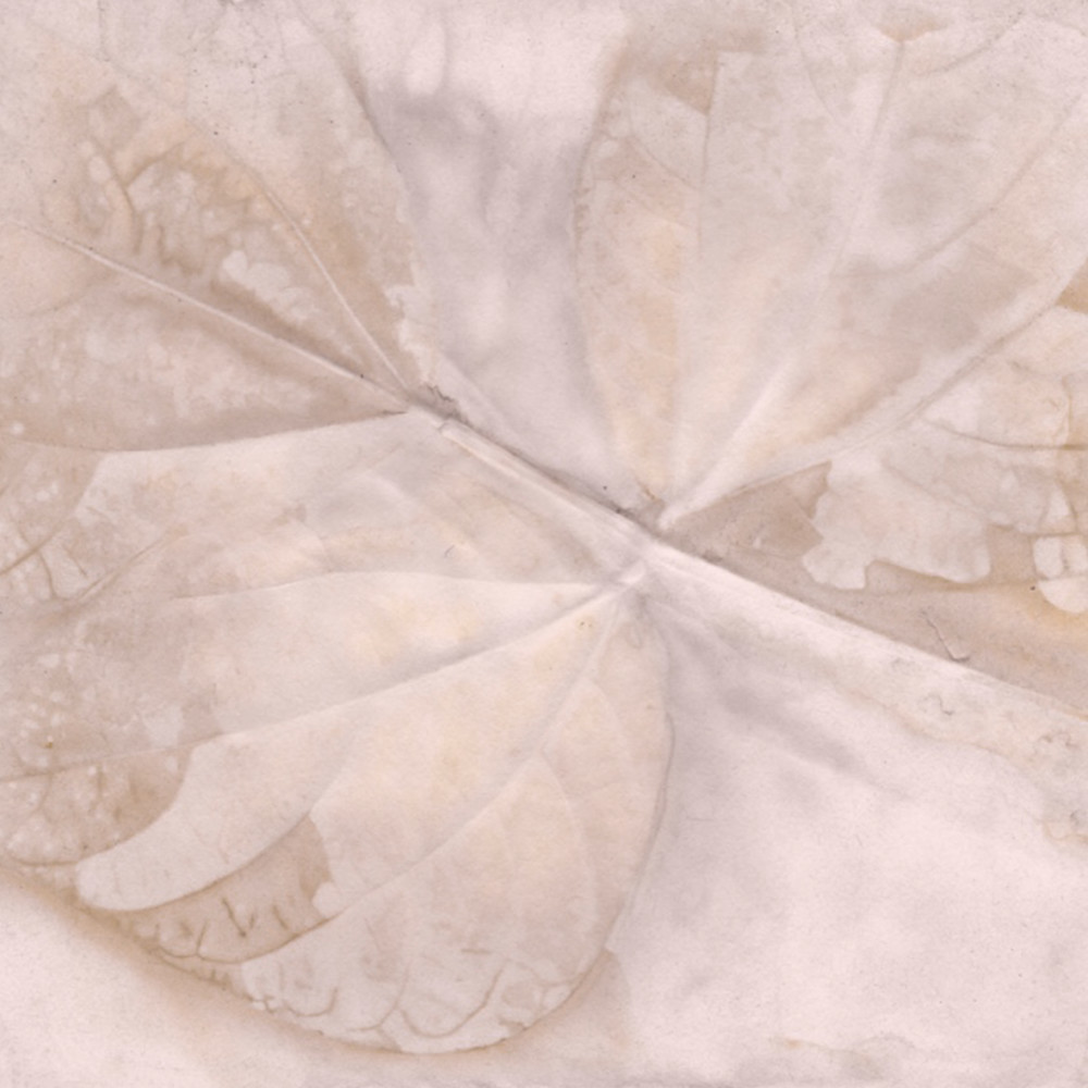 Alabaster Final Art | Debbie Alley