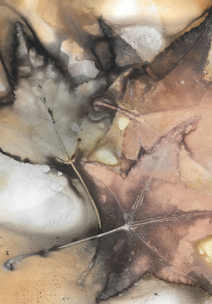 Sweet Gum 1 Final Art | Debbie Alley