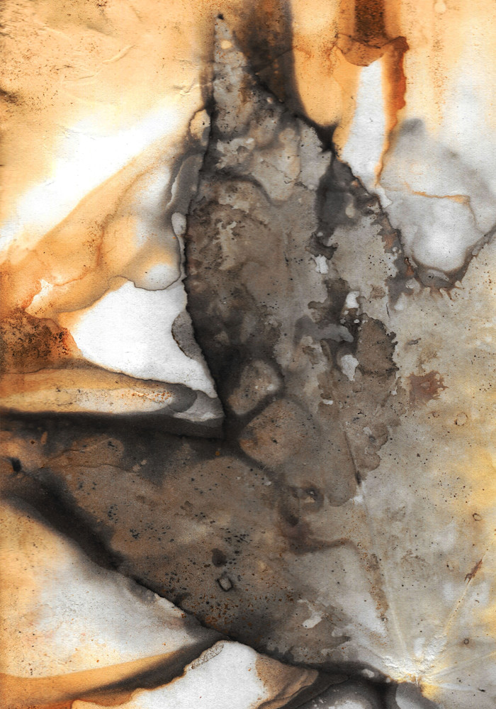 Sweet Gum Solo Final Art | Debbie Alley