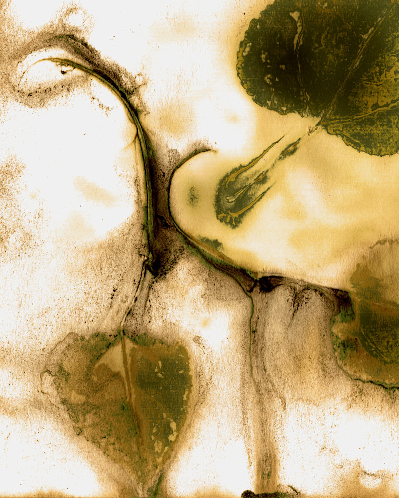 Aspen Curl Modified To Green 8 X 10 Art | Debbie Alley