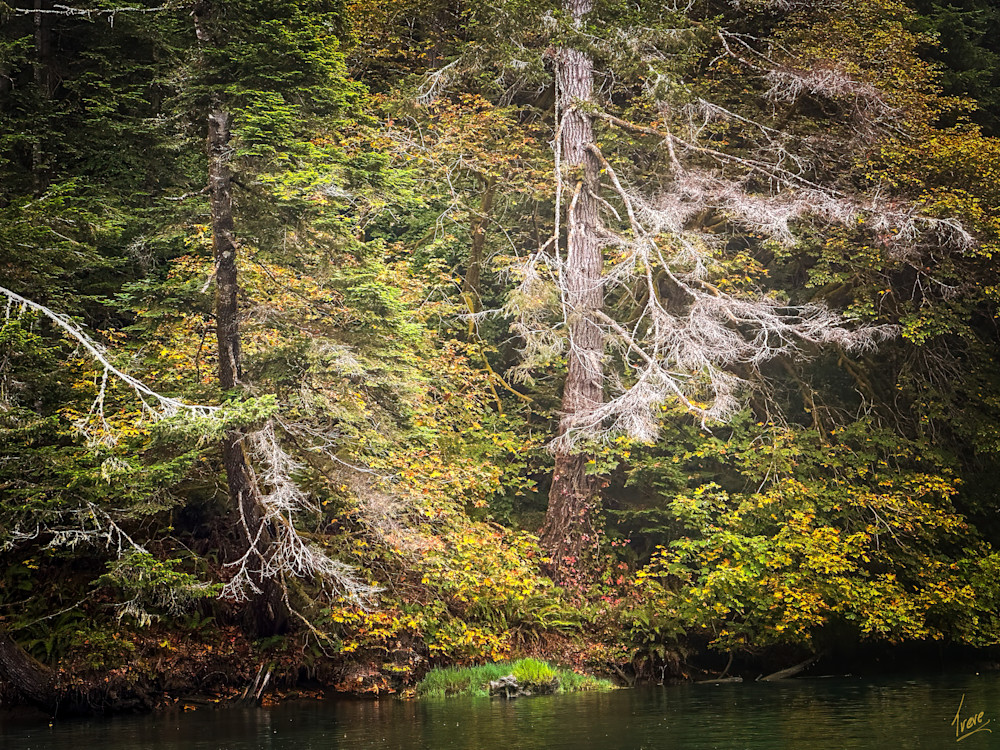 Autumn Whispers On The Albion Photography Art | Treve Johnson Photography, Inc.