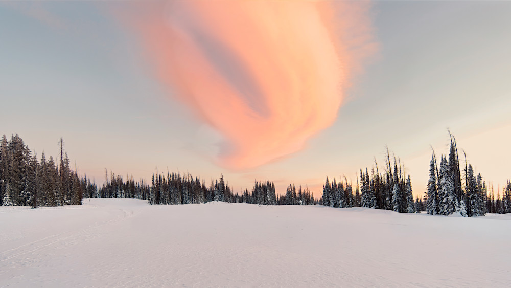 Winter brushstroke captures a snowy landscape at dusk with pink hues and tall trees under a colorful sky