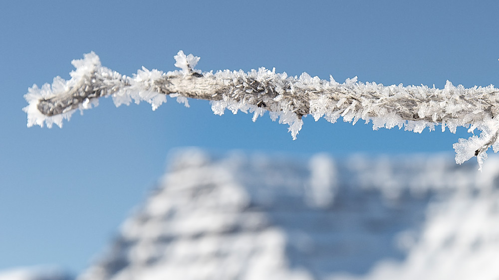 Winter witness of frost-covered branches and snow beneath blue sky in a quiet landscape