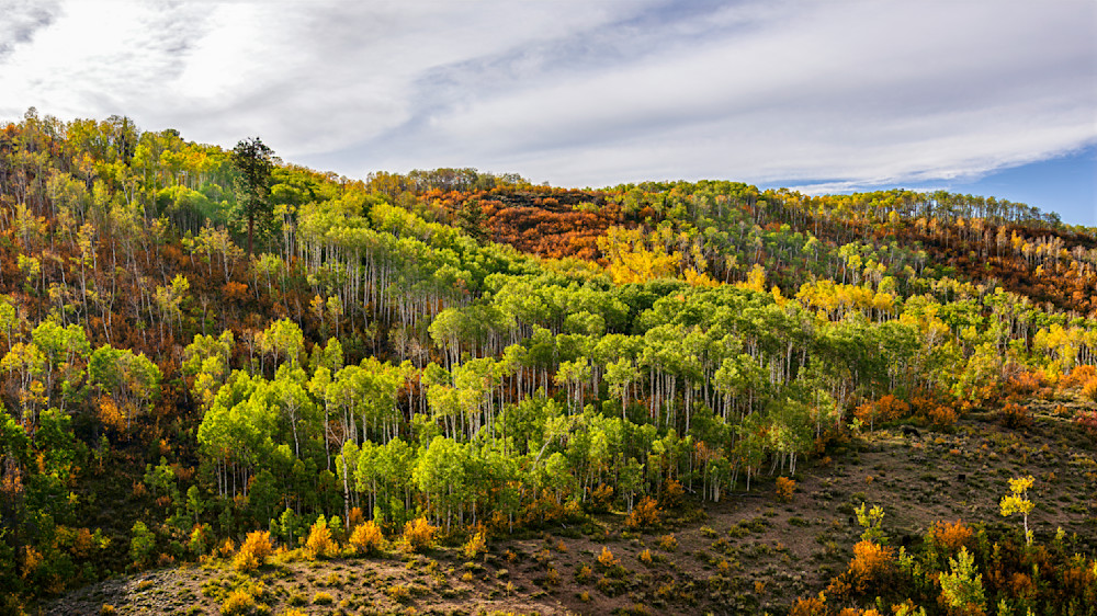 Stunning hillside with vibrant foliage and dynamic cloud formations captured at Electric Hill during autumn