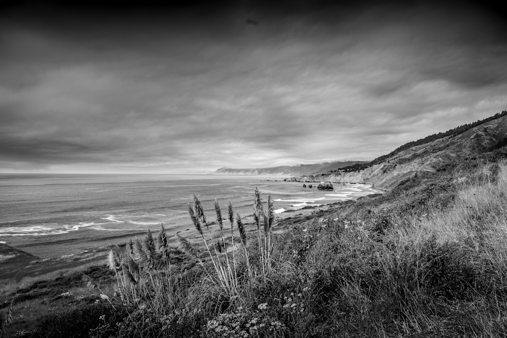 California Coast at Bruhel Point in BW