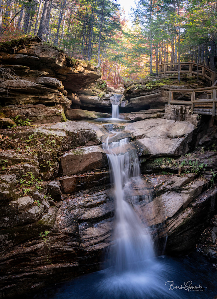 Newenglandprints 2 Photography Art | Barb Gonzalez Photography