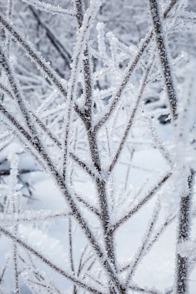 art photography for sale buy artwork online prints for sale 