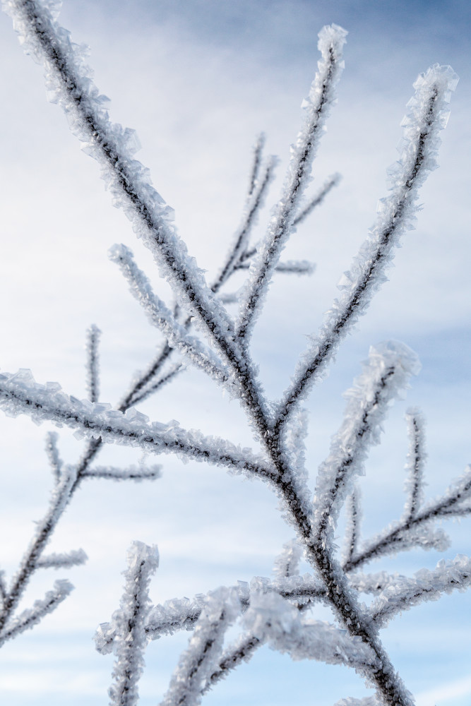 Ice, hoarfrost, hoar frost, frozen, crystals