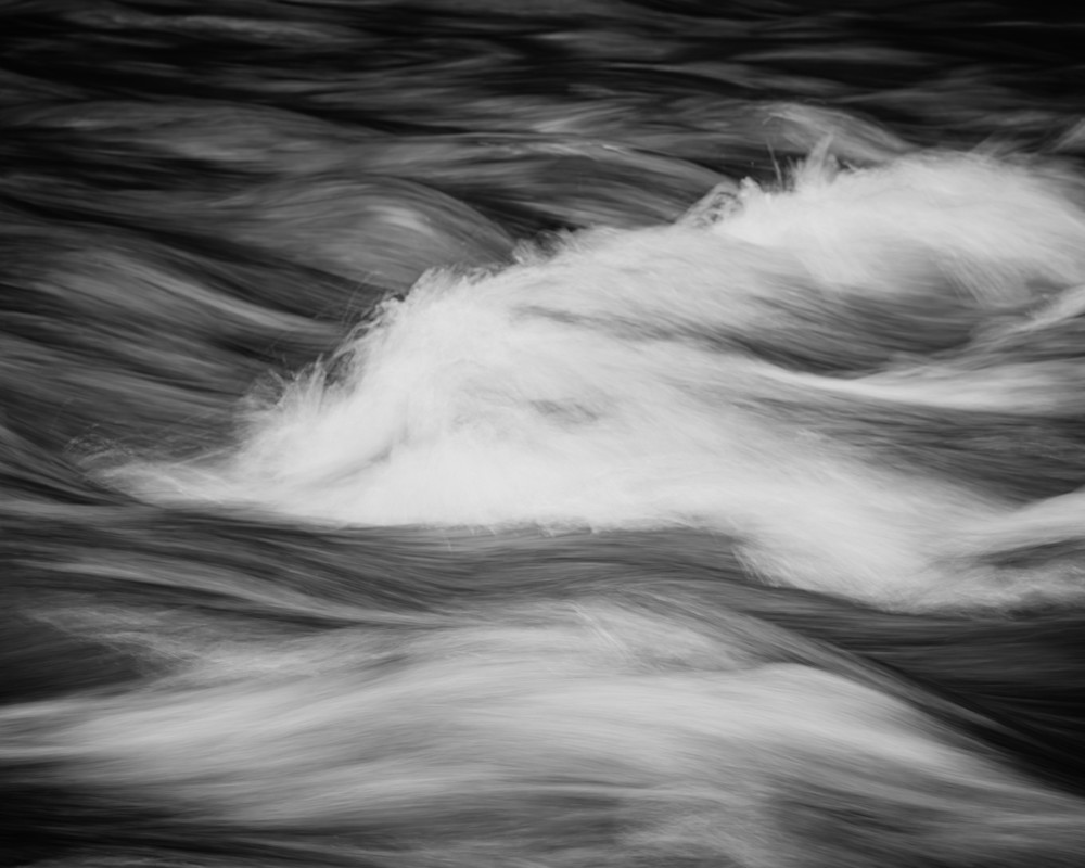 Held in the Current, Capital State Forest, Washington, 2025