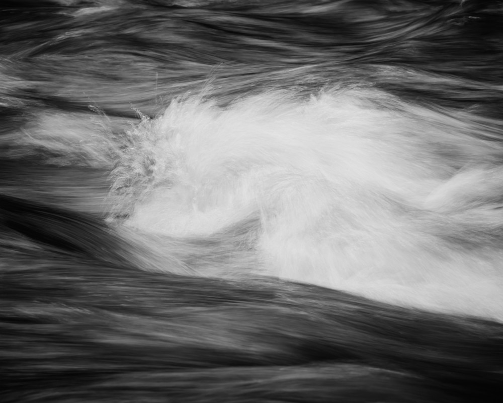 Drawn Together, Capital State Forest, Washington, 2025