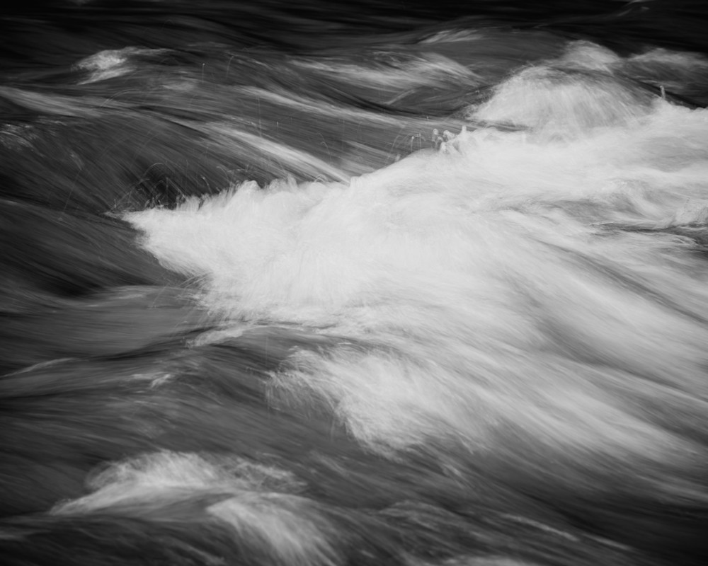 Crossing Currents, Capital State Forest, Washington, 2025