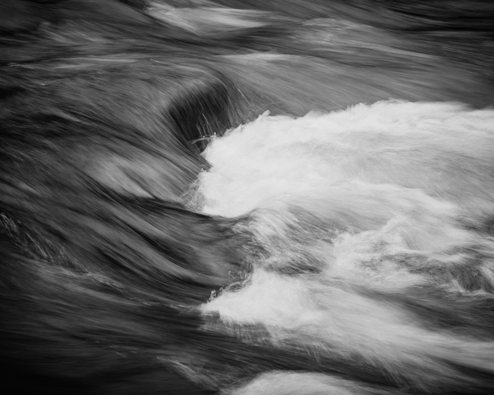 Within the Pull, Capital State Forest, Washington, 2025