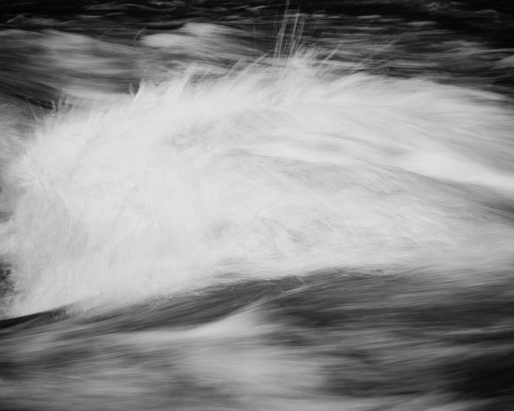 Unbroken Flow, Capital State Forest, Washington, 2025