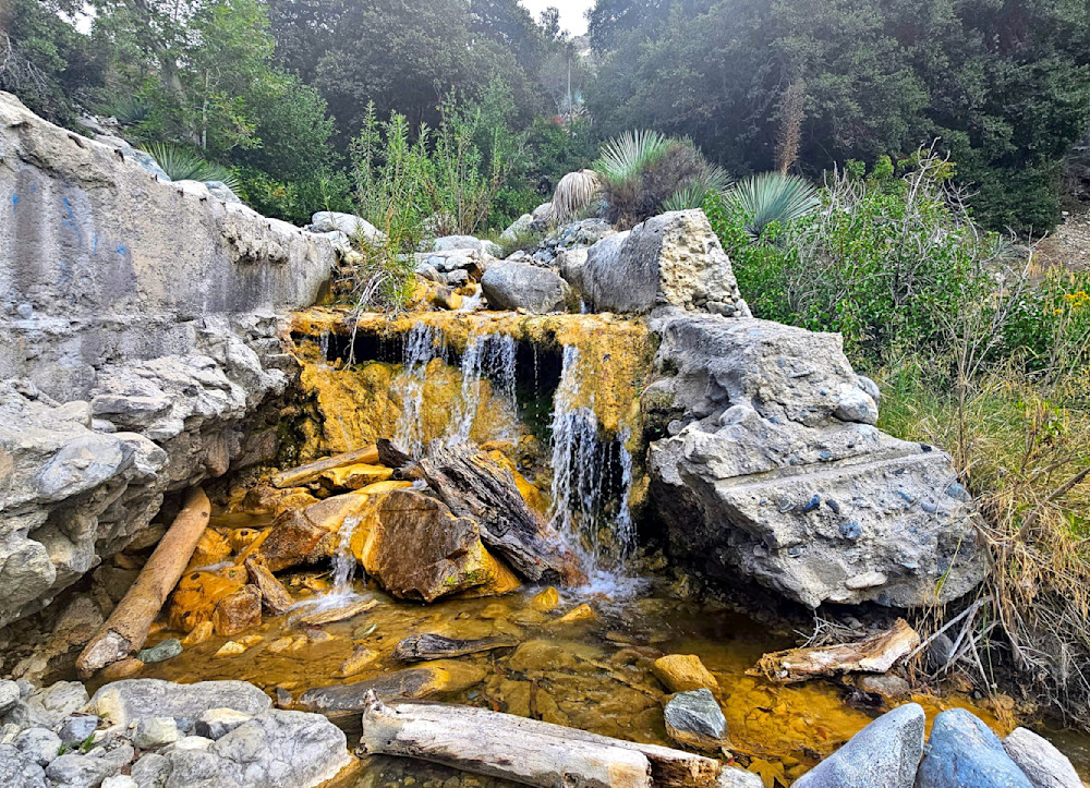 Industrial Forest   San Gabriel Mountains Photography Art | InYourBackyard