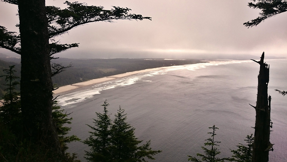 Cape Lookout Trail Beach Shoreline Photography Art | InYourBackyard