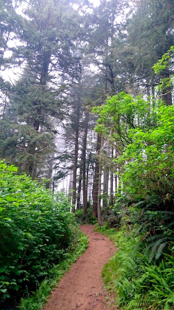 Cape Lookout On The Trail Photography Art | InYourBackyard