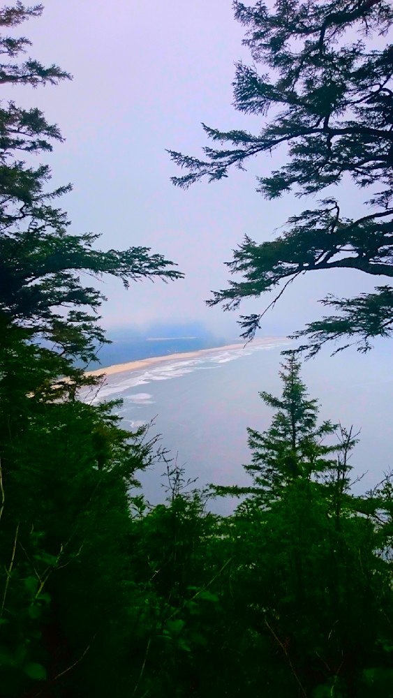 Cape Lookout   Beach Through Th Trees Photography Art | InYourBackyard