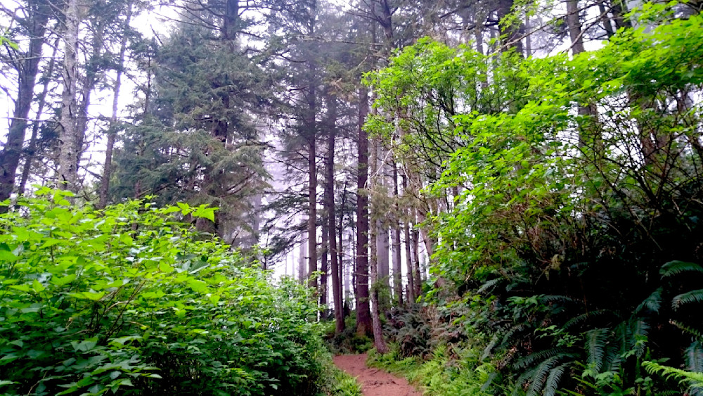 Cape Lookout Trail Photography Art | InYourBackyard
