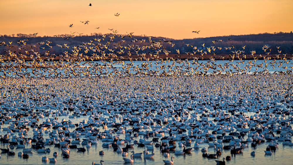 Above The Lift – fine art nature photography