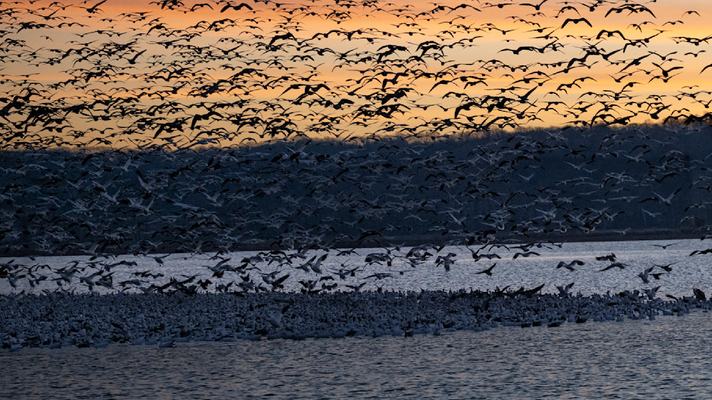 Morning Lift – fine art landscape photography