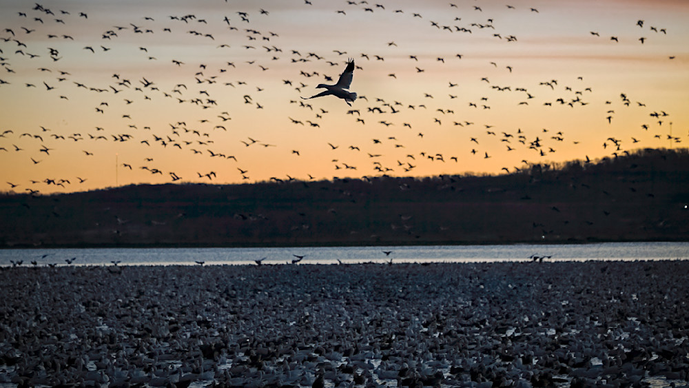 One Above Many – fine art nature photography