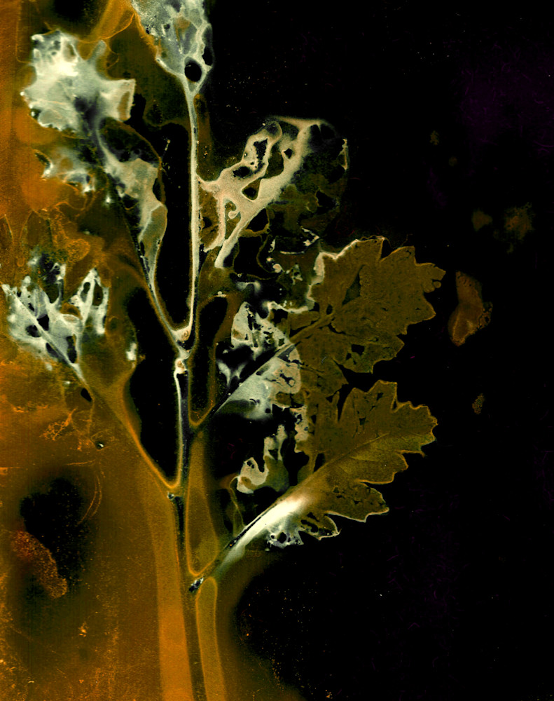 6 Moab Scrub Jeanne Duncan Art | Debbie Alley