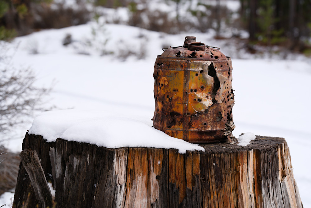 Old Can In Forest Photography Art | InYourBackyard