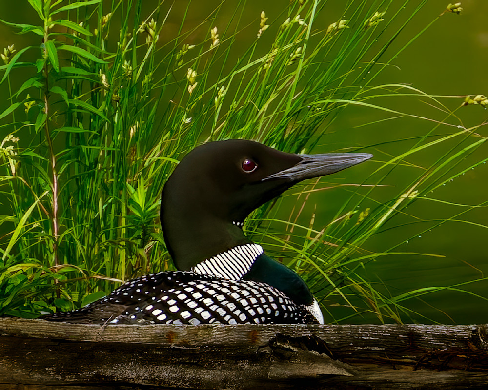 20240620_09_03_04_033_untitled-Edit.psd