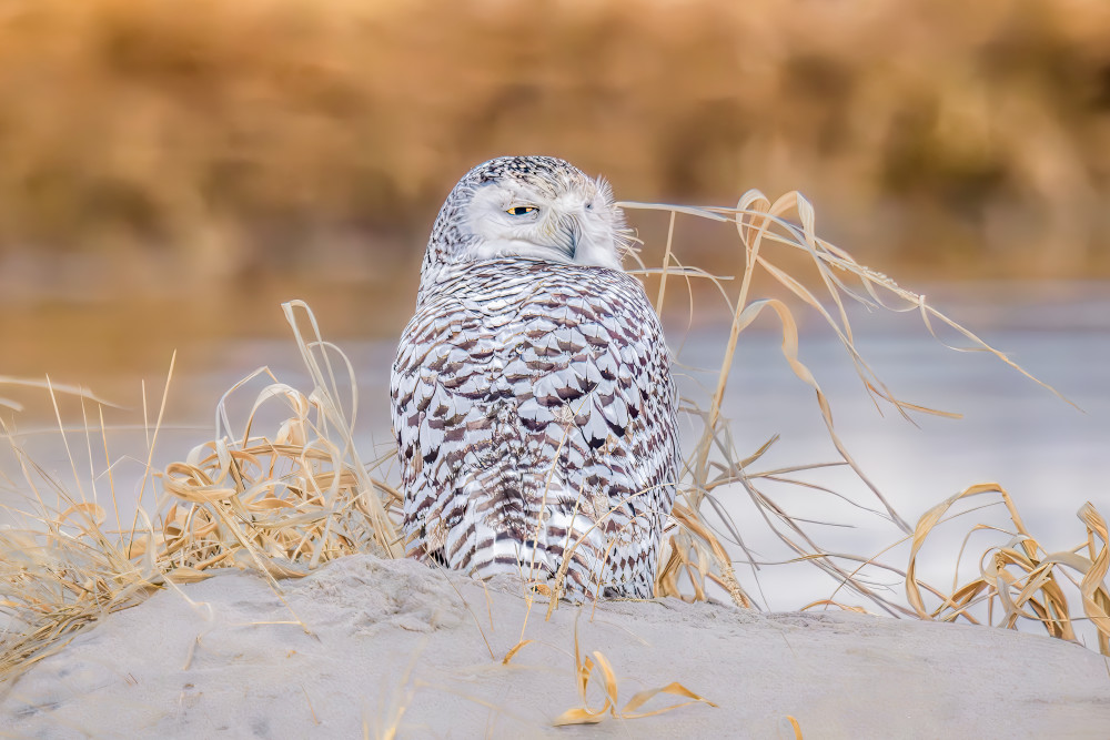 Where Winter Rests Photography Art | Spielman Photography
