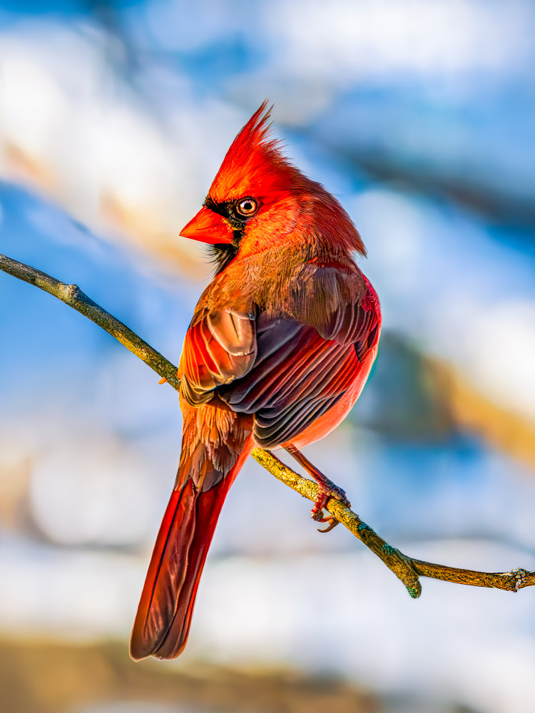 Fire And Frost Photography Art | Spielman Photography