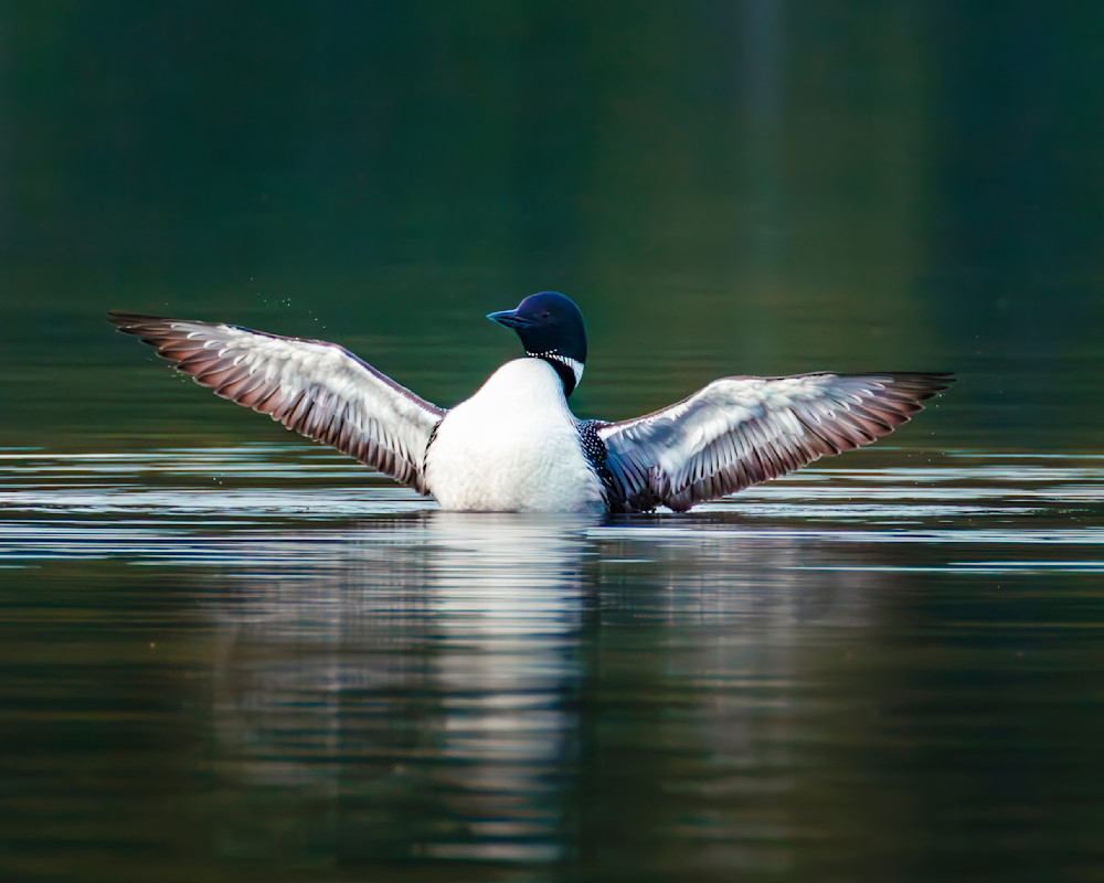 _12A7713-Enhanced-NR Smart Photo.psd