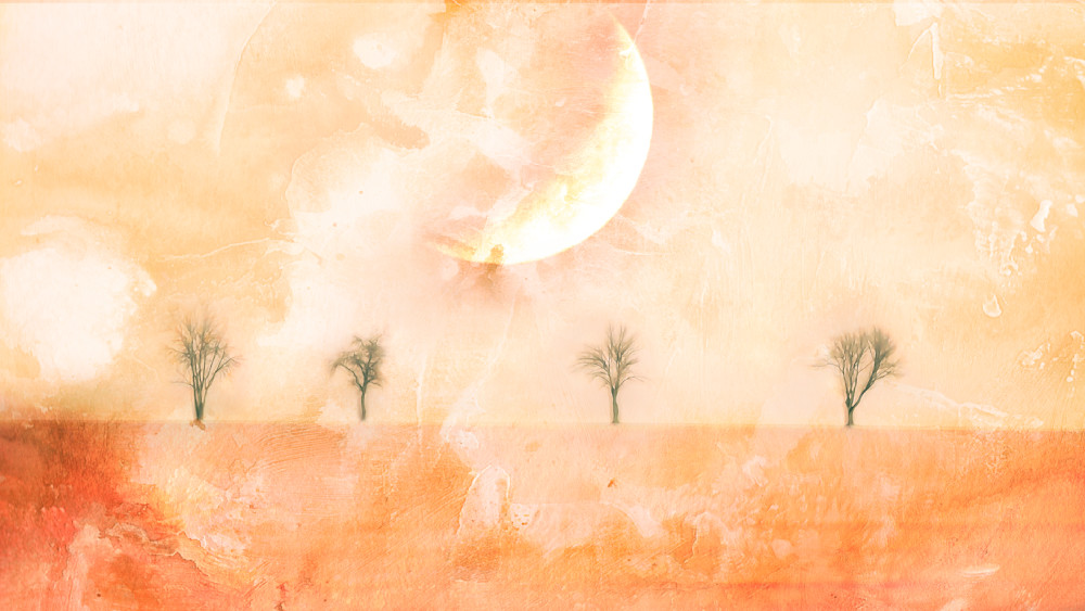 Moonlit Trees in Fog – Layered Photographic Collage by Janie Lynn | Maggie Taylor Inspired Art