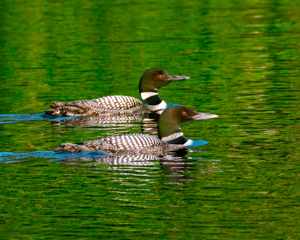 _12A1967 Smart Photo-Edit-Edit.psd