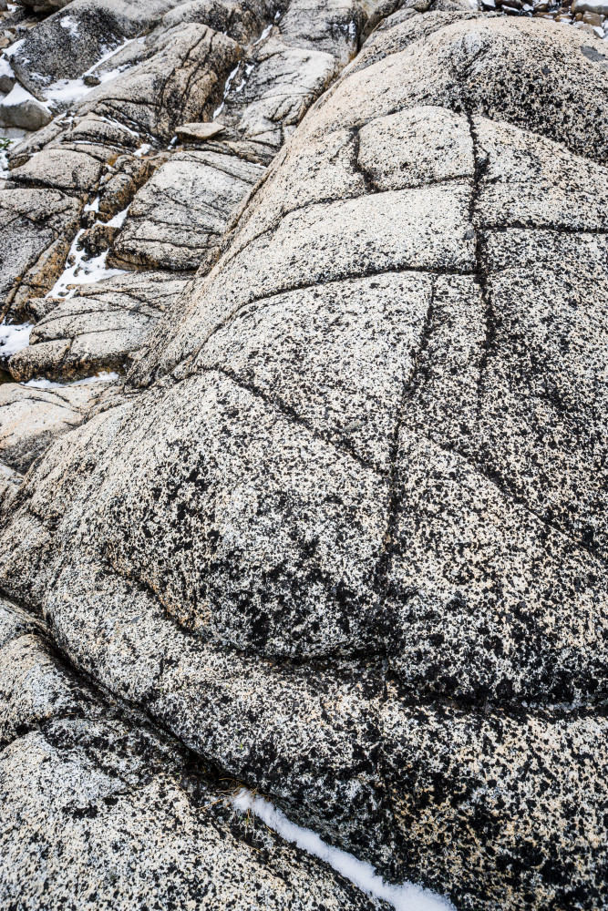 Texture Art | Tim McGuire Fine Art