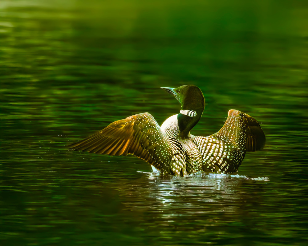 _12A0507 Smart Photo-Edit-Edit-Edit.psd