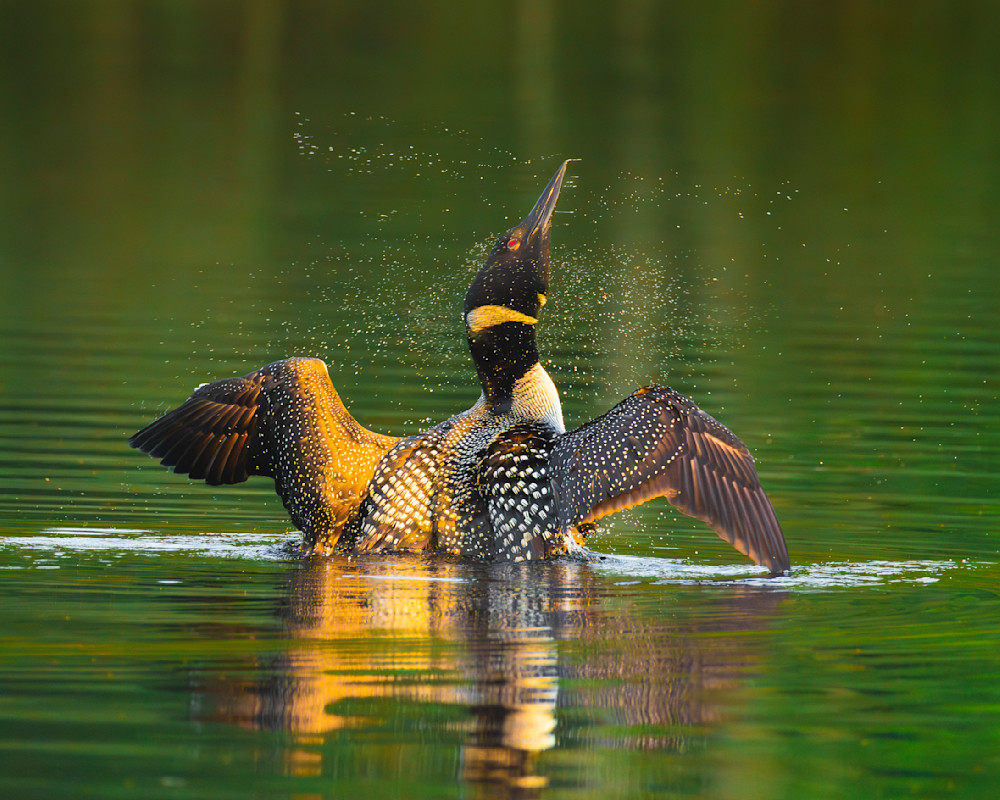 Golden Dawn Shake Photography Art | Mike Soegtrop Photography