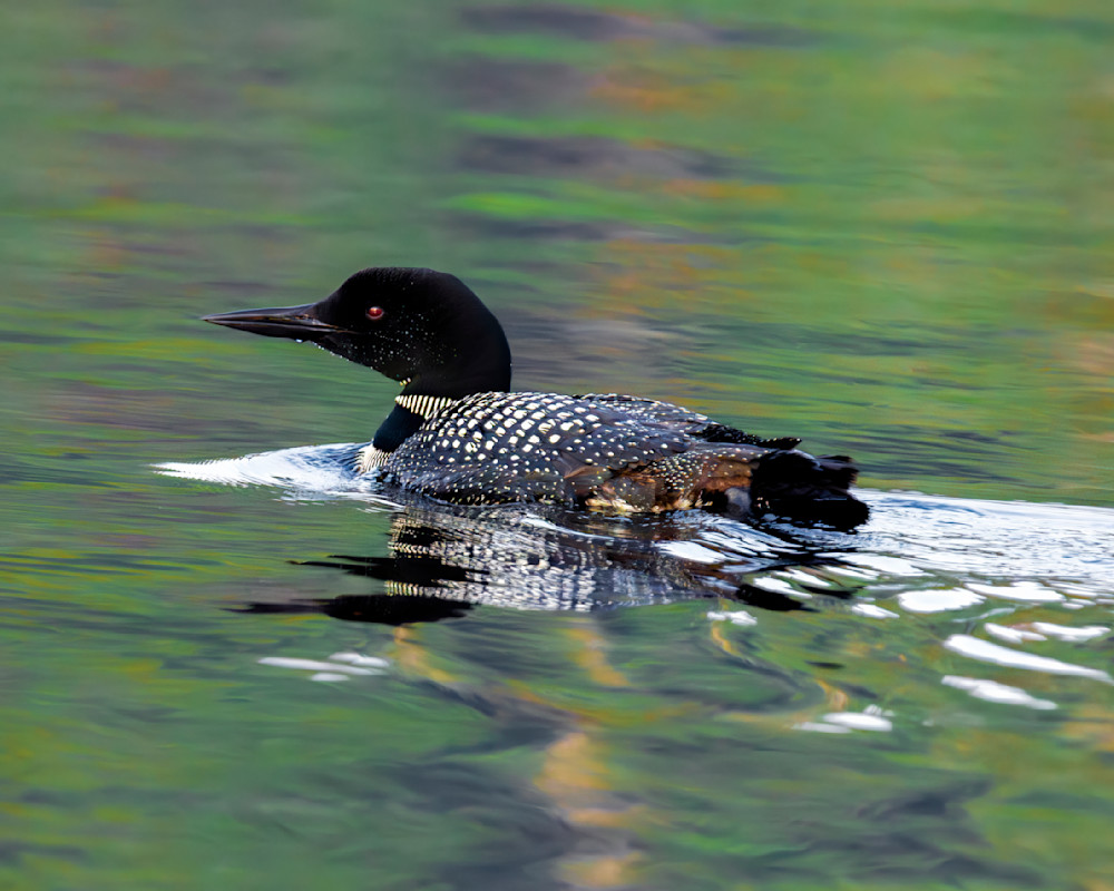 Upscaled with Gigapixel v1.0.7. 2923x2338 => 8769x7014 (3x) Model: High Fidelity V2, denoise: 0.31, sharpen: 0.13, decompression: 0.01