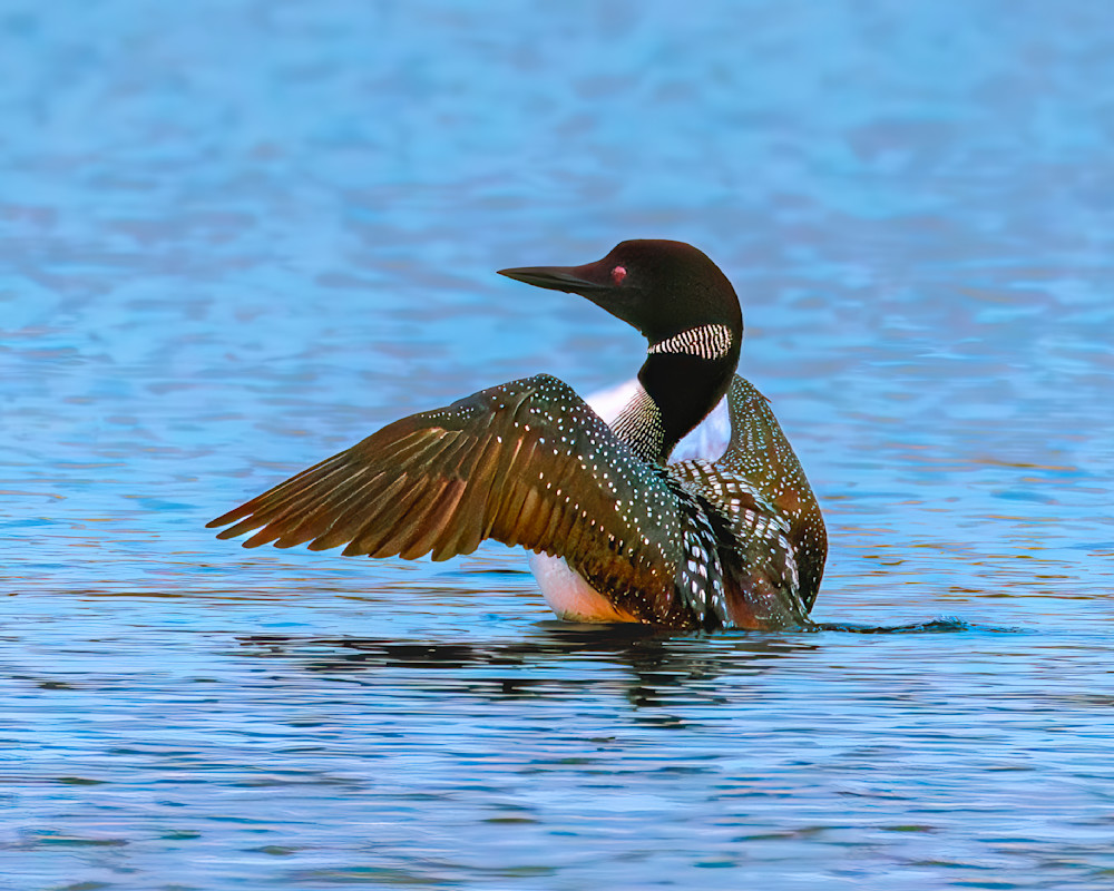 _12A3899 Smart Photo-Edit.tif