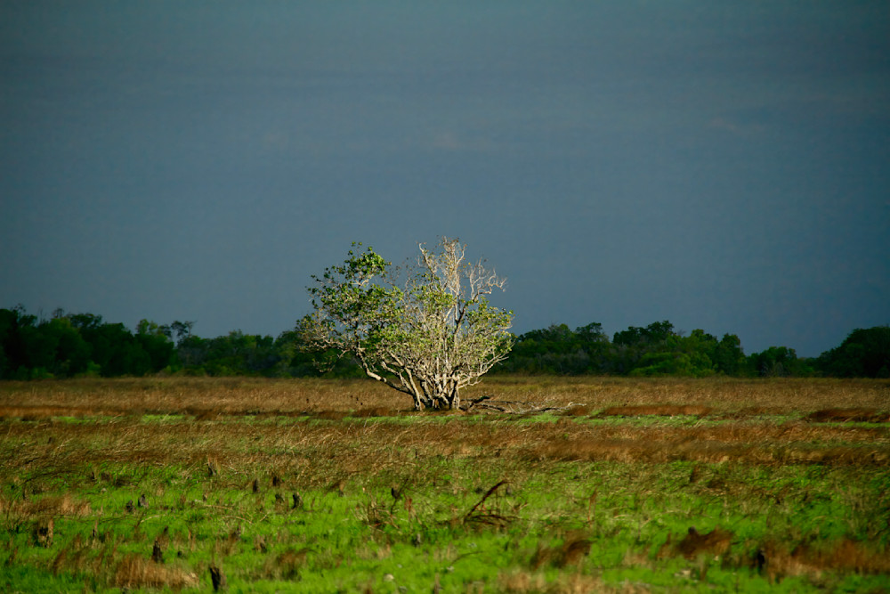 Arnham Land   Ramingining 1 Photography Art | Images by Simon