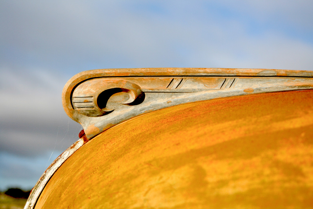 Bonnet And Web Photography Art | Images by Simon