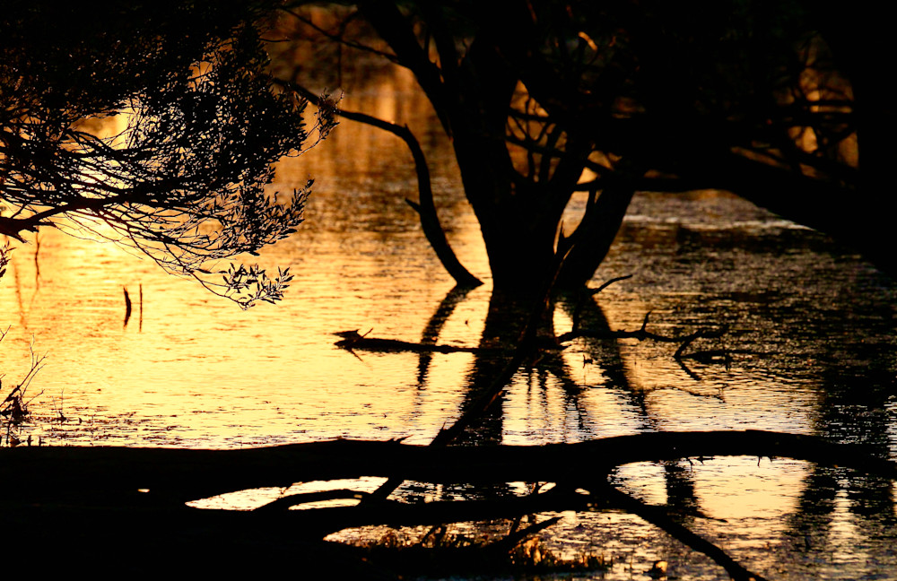 Dusk Wagga Wagga Station Yalgoo Photography Art | Images by Simon