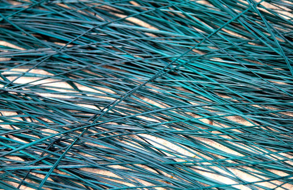 Coloured Cane Photography Art | Images by Simon