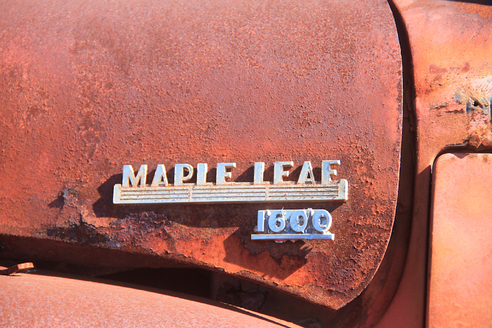 Maple Leaf 1600 Photography Art | Images by Simon