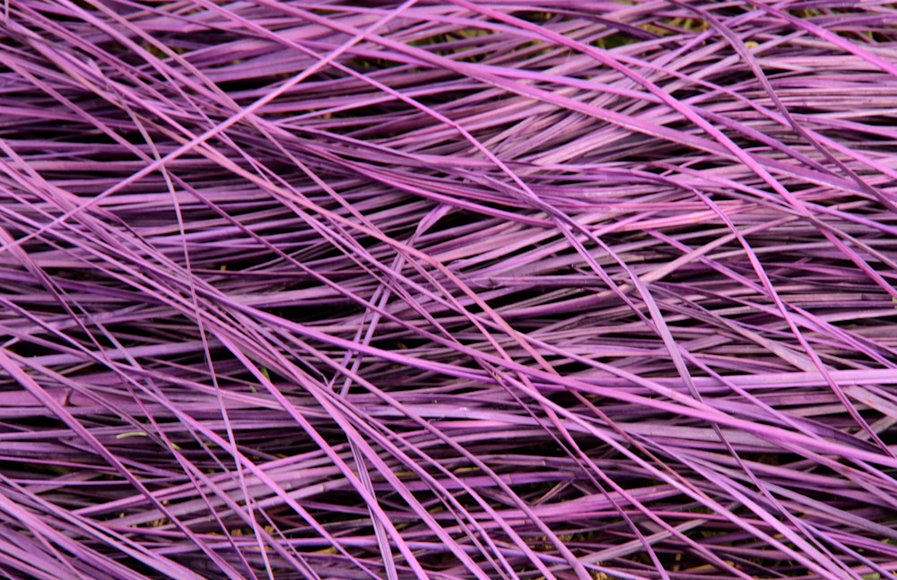 Random Straw Photography Art | Images by Simon