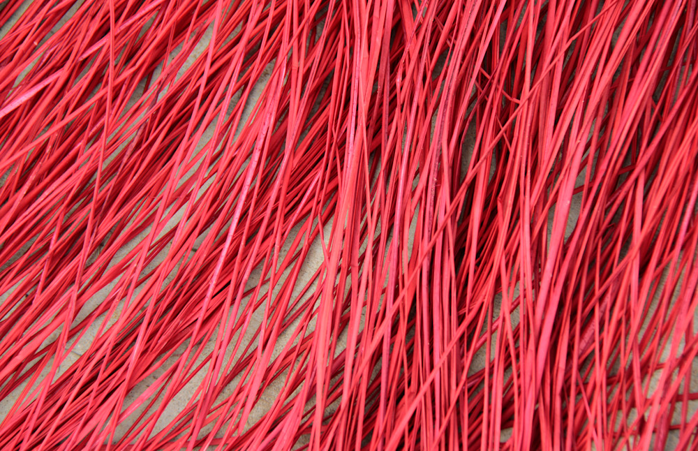 Red Random Cane Photography Art | Images by Simon