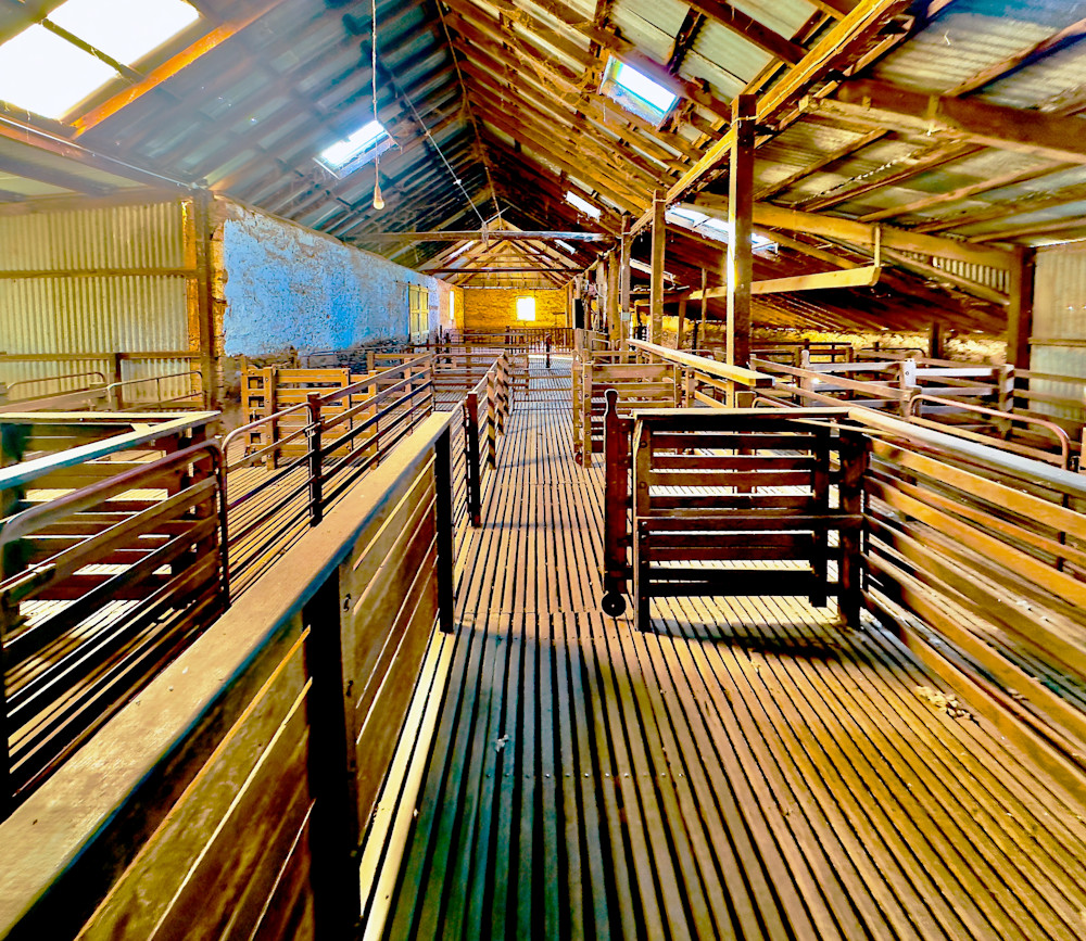 Shearing Shed   Ryelands Clare South Australia Photography Art | Images by Simon