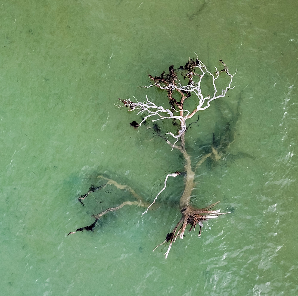 Watery Grave Photography Art | Images by Simon