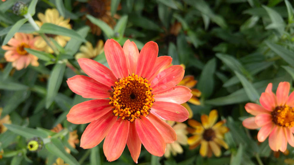 charset=InvalidCharsetId  FC110111100:zzzzzz0 e c6 07804386405761e816c14c0 bac2fd fa11e4 e451131044 bf012c d19 a85159 ab3 942 f3 871 790 e1 ce8 83b cf c17 86a e7 b17 906 f0 bd9 92b f9 b55 91b102 adf 91310b ac7 8c4114 a80 868 f0 a32 81b