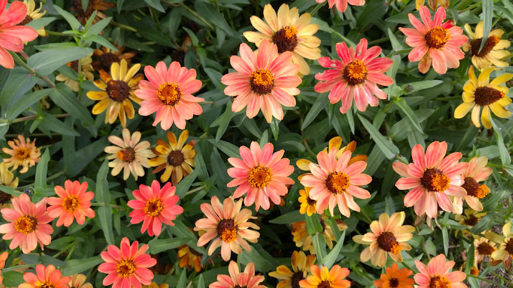 charset=InvalidCharsetId  FC111101100:zzzzzz011 be 0780438ac45a41e816c14c0 bac2fd159 fa81146147 cf9 fd8135 ecf11bb123116f1453111160c1850 ff1b521f40 ed1adb20bf db1896205a c912df1923 b7 ed7144b f3 cf01072 f91ac21684 ff1bb6154e1051c5a13b310b1e101532111