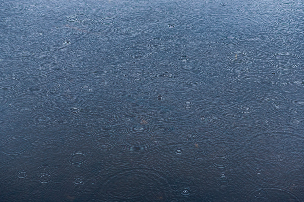 Raindrops creating concentric circles as they fall on the surface of a lake.